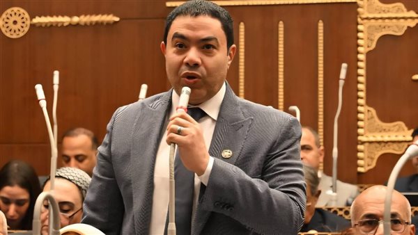 النائب إسماعيل الشرقاوي    