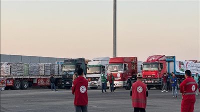 المساعدات الإنسانية إلى غزة    