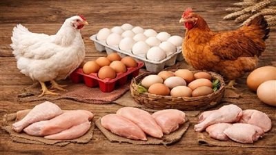 أسعار الدواجن في مصر    