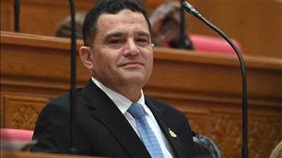 النائب أمير الجزار    