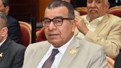 النائب محمود مرجان     