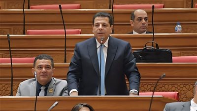 النائب محمود سامي     