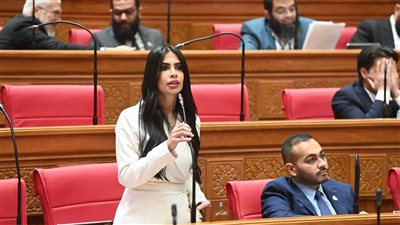 النائبة هايدي المغازي    