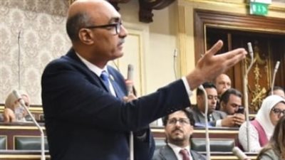 النائب إيهاب منصور     