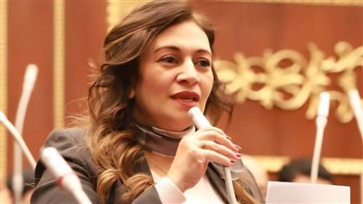 النائبة نيفين فارس    