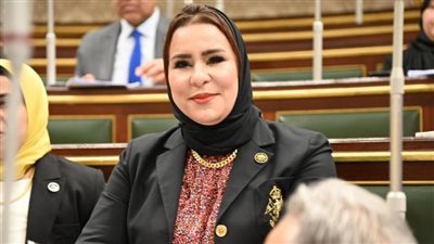 النائبة نيفين الكاتب عضو مجلس النواب    