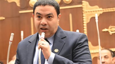 النائب إسماعيل الشرقاوي    