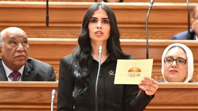 النائبة هايدي المغازي    