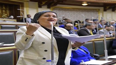 النائبة سناء السعيد    