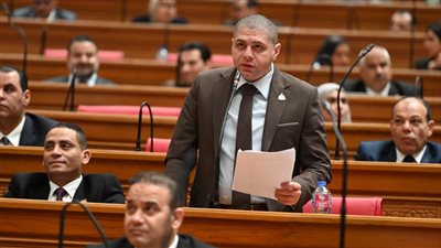 النائب أحمد الجبيلي     