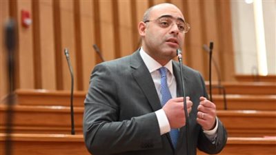 النائب أحمد علاء فايد    