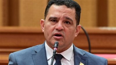 النائب أمير الجزار     