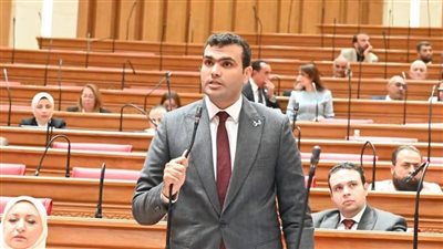 النائب حسين هريدي    