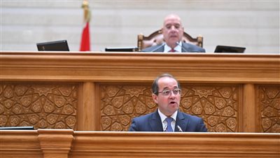 وزير المالية     