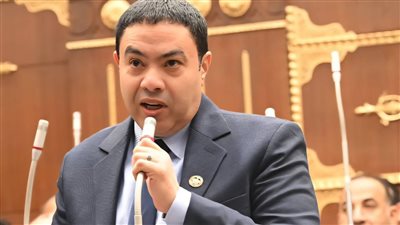 النائب إسماعيل الشرقاوي    