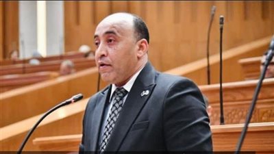 النائب حسام حسن     