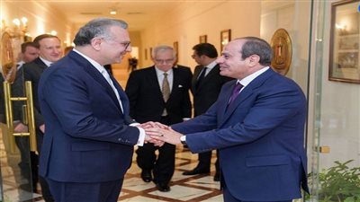 الرئيس عبد الفتاح السيسي    