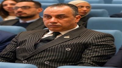 النائب محمد سمير البلتاجي    