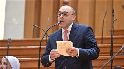 النائب أحمد علاء فايد    