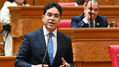 النائب ضياء الدين داود     