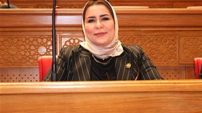 الدكتورة نيفين الكاتب عضو مجلس النواب    