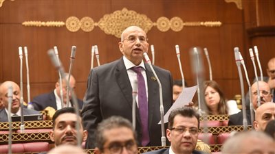 النائب أشرف عبد الغني    