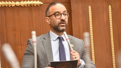 النائب أحمد الحمامصي عضو مجلس الشيوخ    