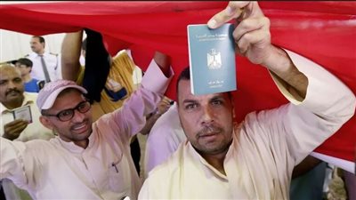 الرعاية لأبناء الوطن المصريين في الخارج    