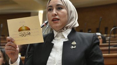 النائبة صافيناز طلعت عضو مجلس النواب    