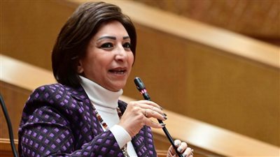 النائبة مها عبدالناصر     