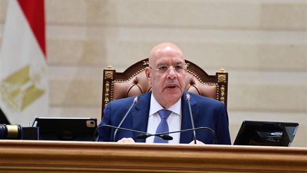 المستشار هشام بدوي     