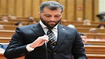 النائب محمد عكاشه     