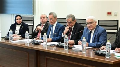 جانب من اجتماع اللجنة     