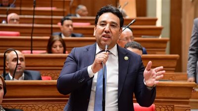 الدكتور أيمن محسب وكيل لجنة الشئون العربية بمجلس النواب    