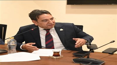 الدكتور أيمن محسب وكيل لجنة الشئون العربية بمجلس النواب    