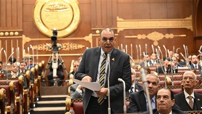 النائب رجائي عزت    