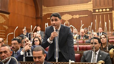 النائب محمد مظلوم    