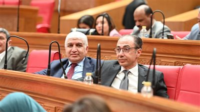 النائب أشرف سعد سليمان    