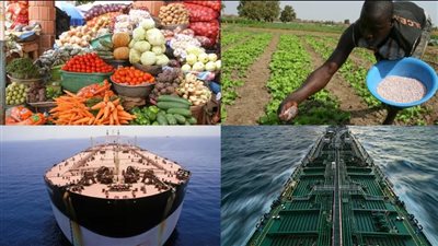 أزمة الاسمدة العالمية    