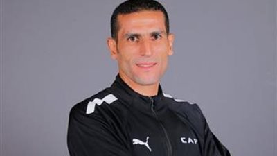 محمود ناجي    