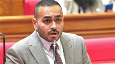 النائب أحمد ناصر    