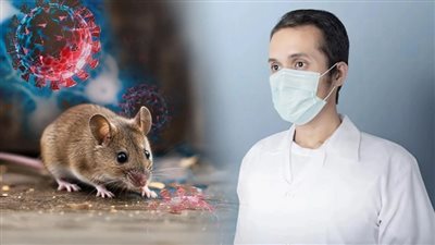 فيروس هانتا القاتل    