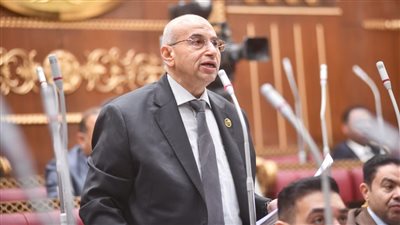 النائب أشرف عبد الغني    