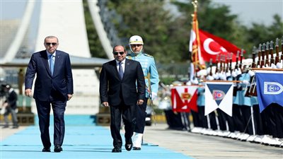 الرئيس عبد الفتاح السيسي    