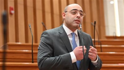 النائب أحمد علاء فايد    