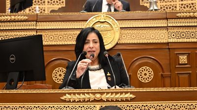 النائبة ميرال الهريدي    