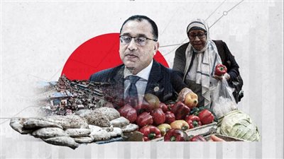 الدعم النقدي والمواطن    