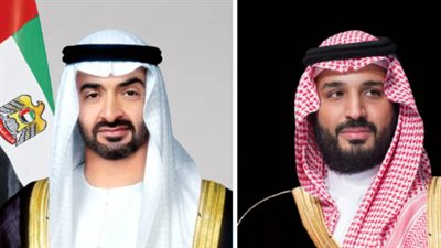 رئيس الإمارات وولي عهد السعودية     