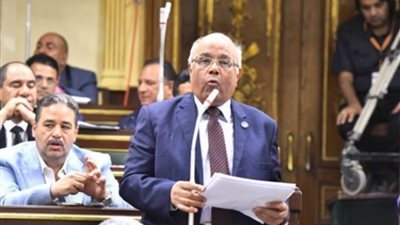 النائب محمد عطيه الفيومي     