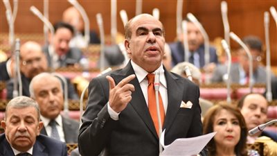 النائب ياسر الهضيبي     
